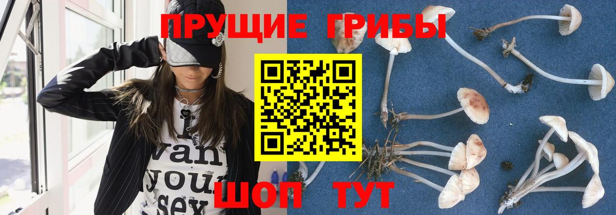 Галлюциногенные грибы Magic Shrooms  цена наркотик  Вход с VPN  Обь  Псилоцибиновые грибы прущие грибы 