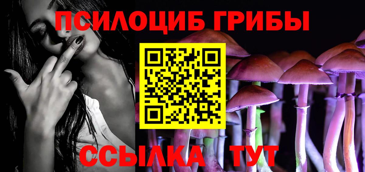 Псилоцибиновые грибы Psilocybine cubensis Обь
